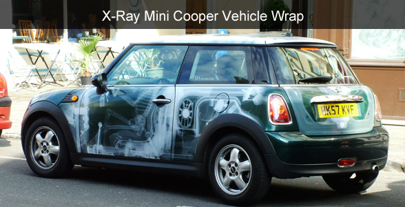 Mini "X-Ray" Wrap