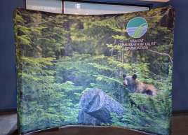 10ft x 8ft Curved Dye-sublimated Backdrop