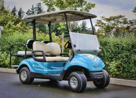 Golf Cart Wrap